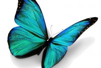 Turquoise Butterfly Turquoise Blue Papillon Tatouage Papillon with measurements 942 X 941