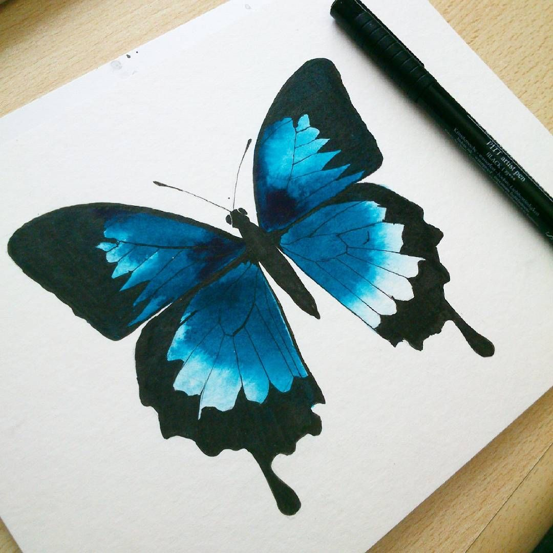 Ulysses Butterfly Watercolor My Paintings In 2019 Watercolor pertaining to proportions 1080 X 1080