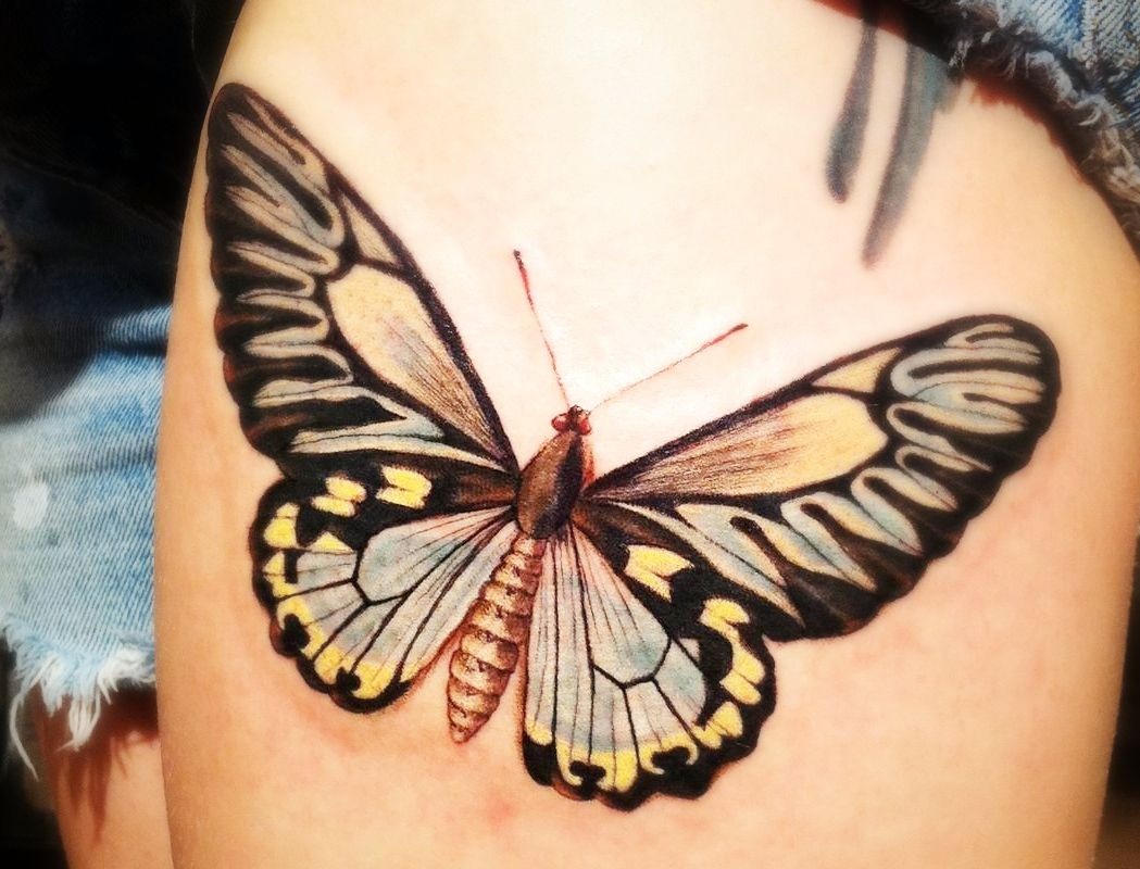 Very Nice And Detailed Butterfly Tattoo Tattoos Butterfly Tattoo with regard to dimensions 1049 X 800