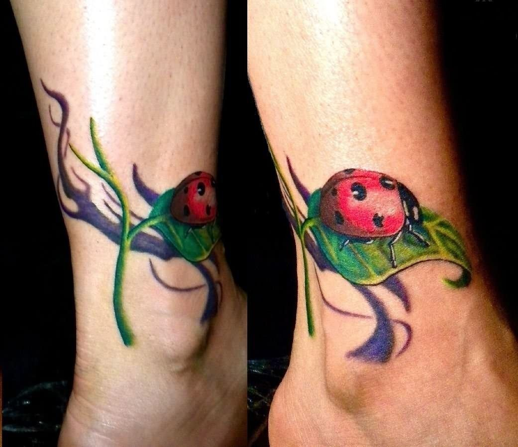Watercolor Ladybug Butterfly Tattoo Ladybug Tattoos Designs Ideas intended for proportions 1041 X 900