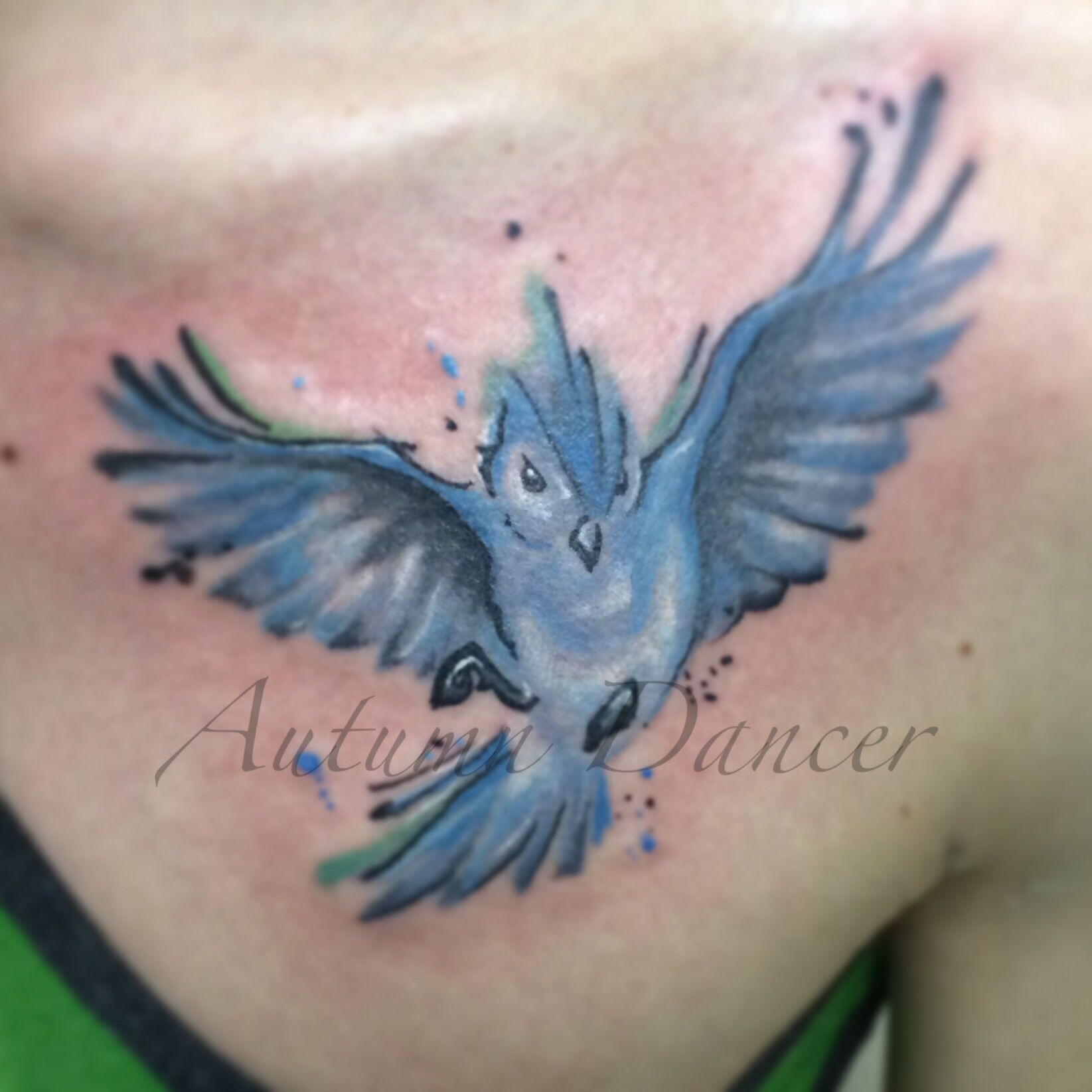 Watercolor Style Blue Bird Chest Tattoo Tattoos That I Love in size 1645 X 1645