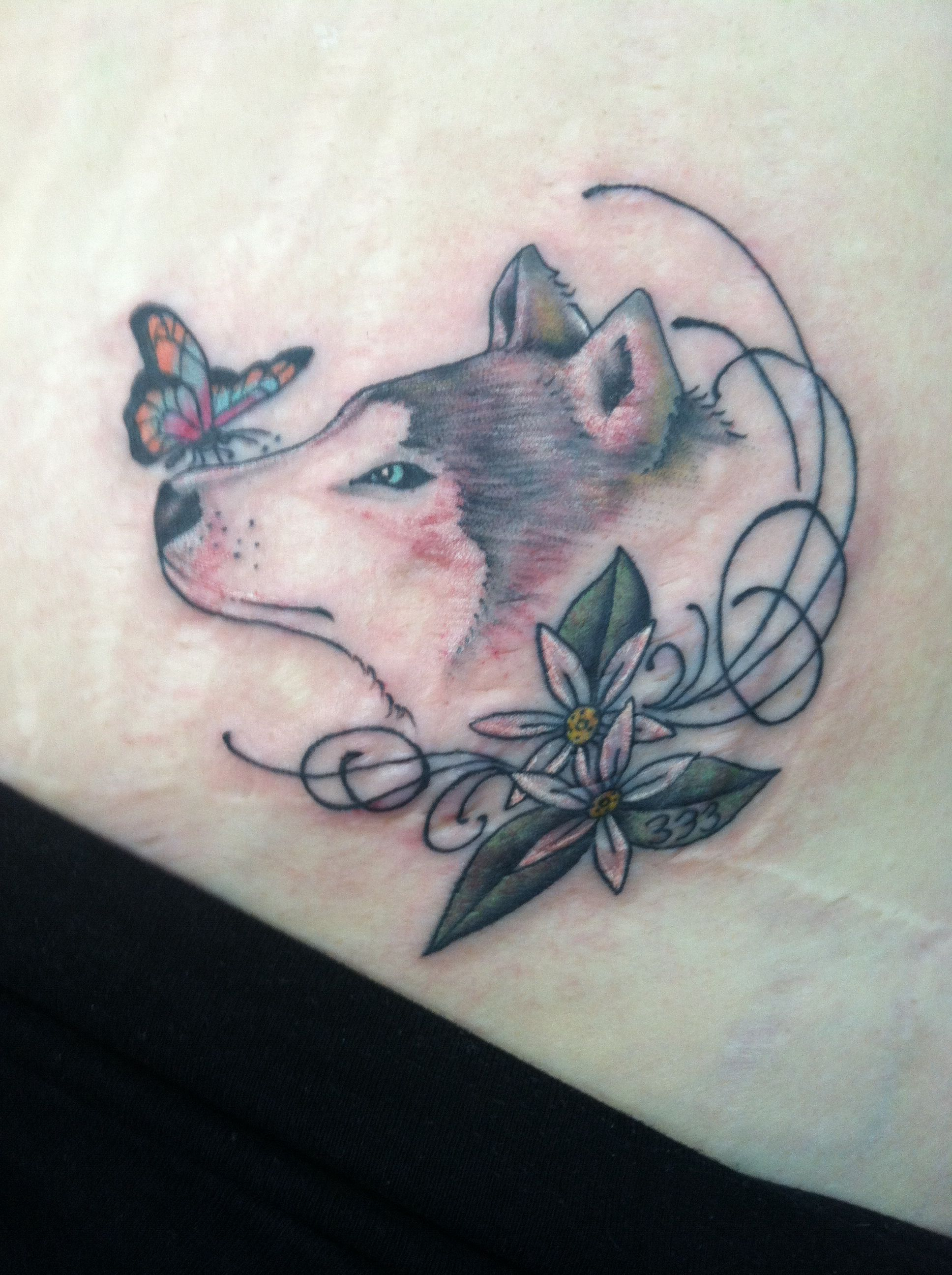 Wolf And Butterfly Tattoo With Orange Blossom Flowersbeauty intended for dimensions 1936 X 2592