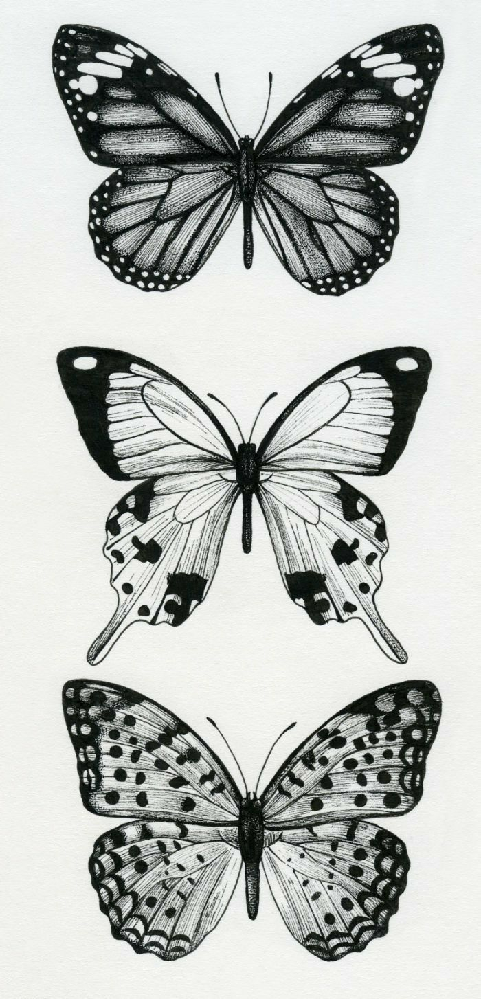 Would Be A Cool Tattoo Butterflies Tattoo Designs Tattoos Cool inside proportions 700 X 1454