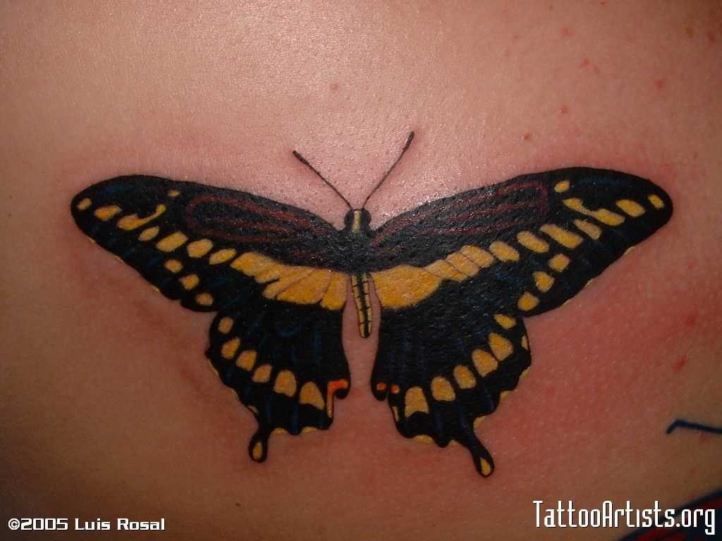 Yellow Black Butterfly Tattoo Tattoo Black Butterfly Tattoo within size 1024 X 768